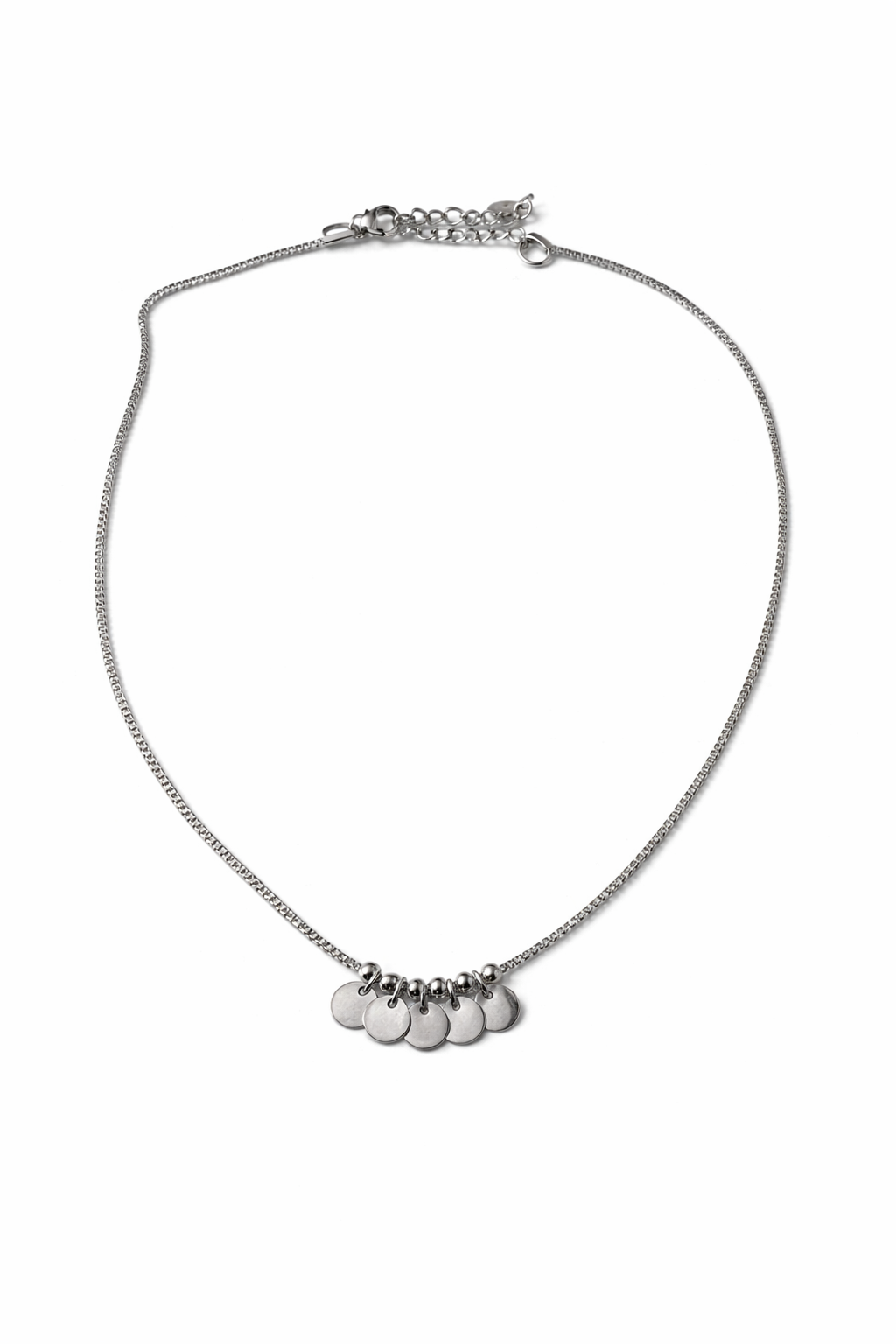 Stainless Steel Zilveren Ketting met Muntjes | Waterproof
